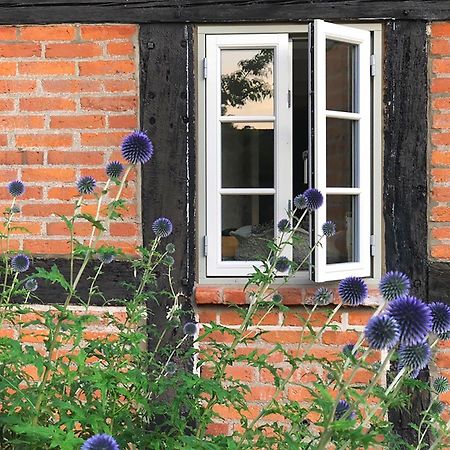 Romantisches Reetdachhaus - Frau Schroeders Mohrkirch Exteriér fotografie
