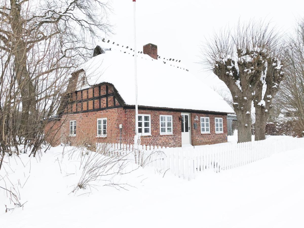 Romantisches Reetdachhaus - Frau Schroeders Mohrkirch Exteriér fotografie